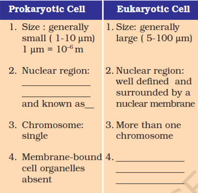 THE FUNDAMENTAL UNIT OF LIFE - THE FUNDAMENTAL UNIT OF LIFE NCERT in-text Solutions