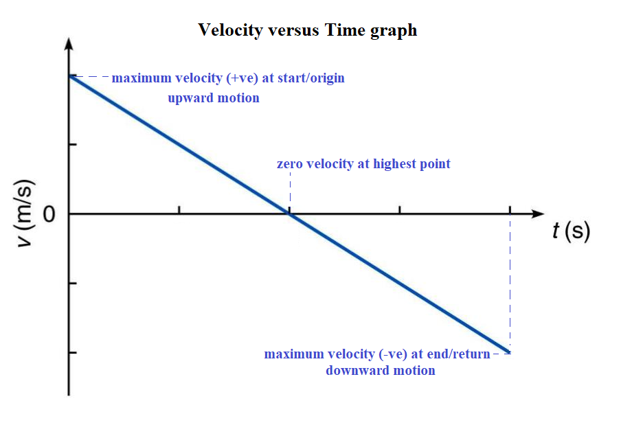 Draw a velocity versus time graph of a stone thrown vertically upwards and then coming downward after attaining maximum height.